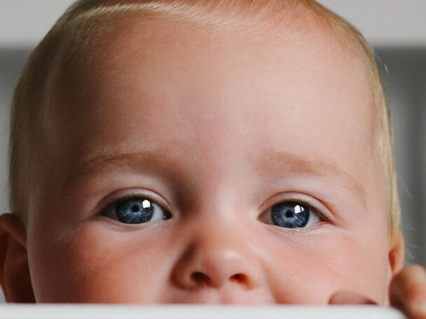Nestle babyvoeding producten Nestle babyvoeding producten