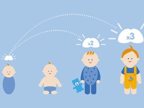 Hersenontwikkeling Hersenontwikkeling