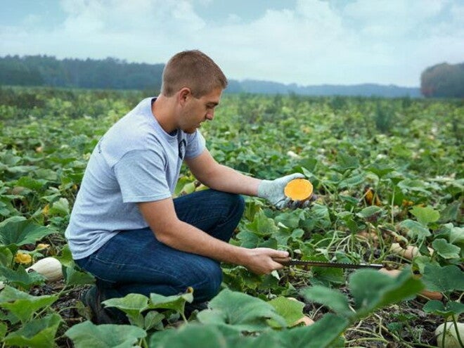 Plantaardige babyvoeding