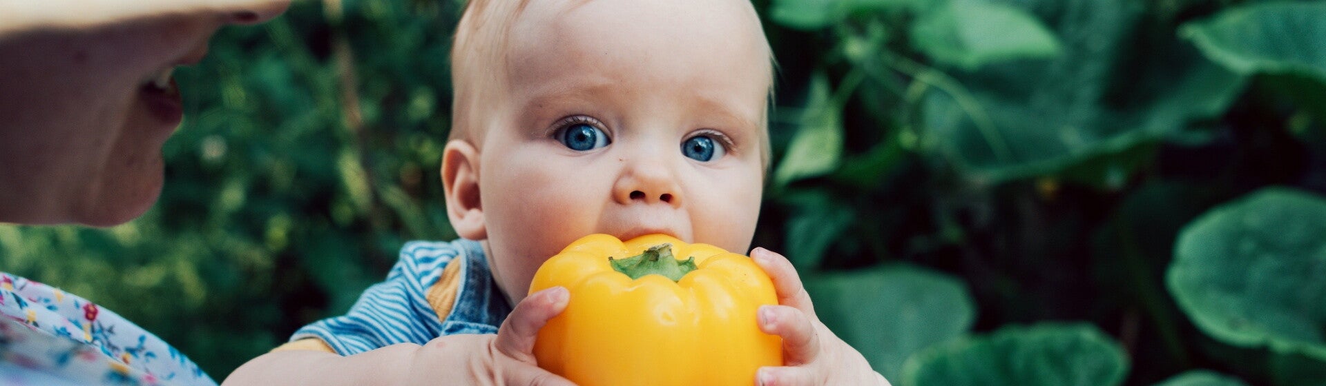 Biologische babyvoeding