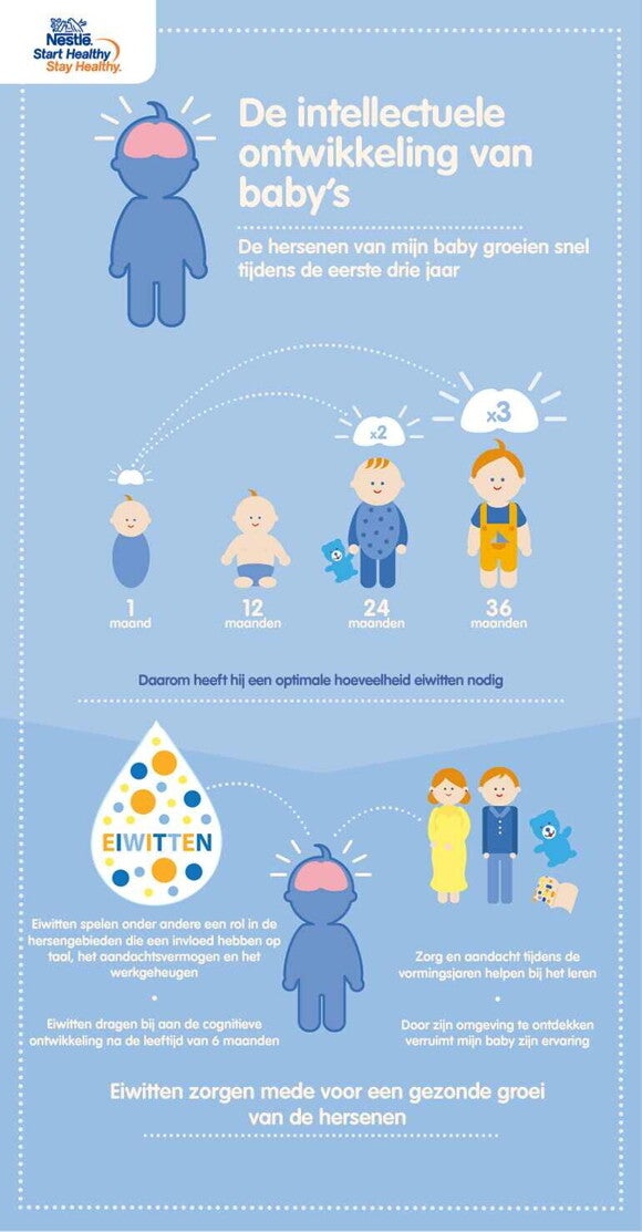 infographic de intellectuele ontwikkeling van de babys infographic de intellectuele ontwikkeling van de babys