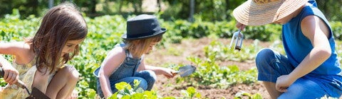 Kids gardening